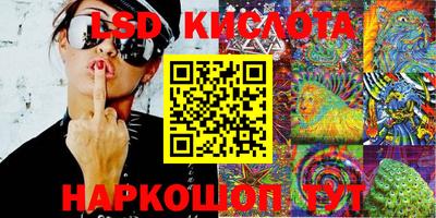 прущие грибы Кимры