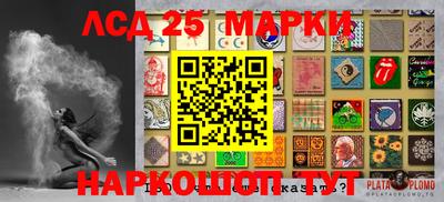 прущие грибы Кимры