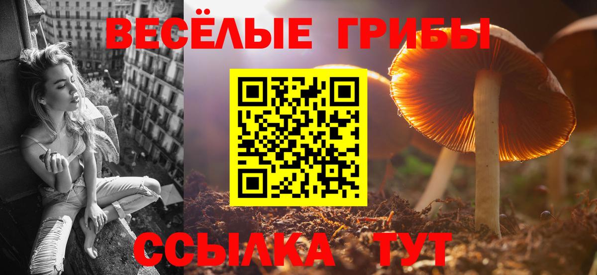 Галлюциногенные грибы Cubensis Южно-Сахалинск
